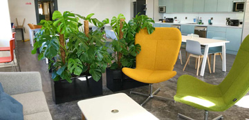 sensl project showcase