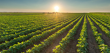 M2 Office Technology - Who are Ricoh