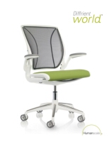 Humanscale Diffrient World Chair