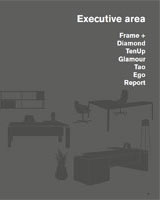 Sinetica Executive Area